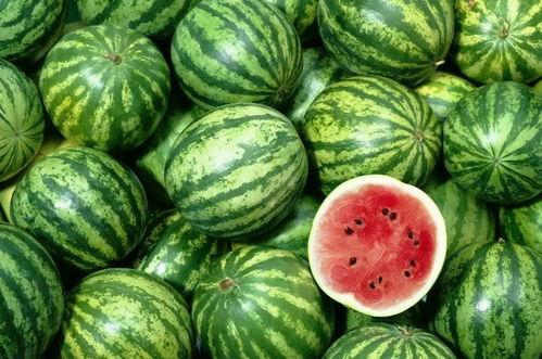 西瓜视频吃瓜123,揭秘吃瓜123背后的故事