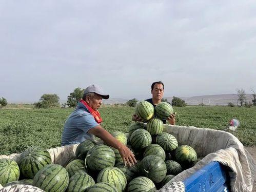 南宁第一吃瓜事件视频最新