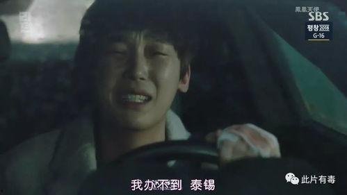 流星韩剧吃瓜视频,揭秘热门吃瓜视频背后的故事