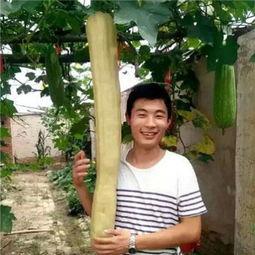 农村女人吃瓜视频,共享田园生活乐趣