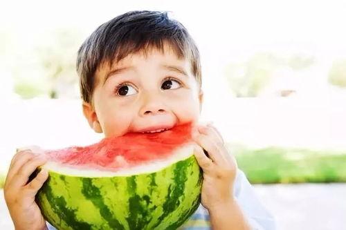 八戒在瓜地里吃西瓜的视频,西瓜盛宴欢乐无限