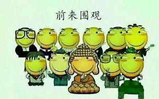 吃瓜群众绿幕视频素材