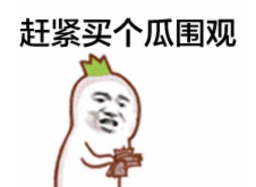 吃瓜表情包片段大全视频,盘点全网热门片段大盘点