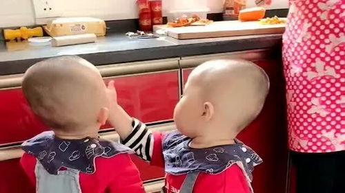 弟弟喊哥哥们吃瓜视频,弟弟喊哥哥们吃瓜视频爆笑上演