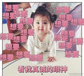 吵架实录吃瓜视频在线观看,吃瓜群众在线围观网络大战